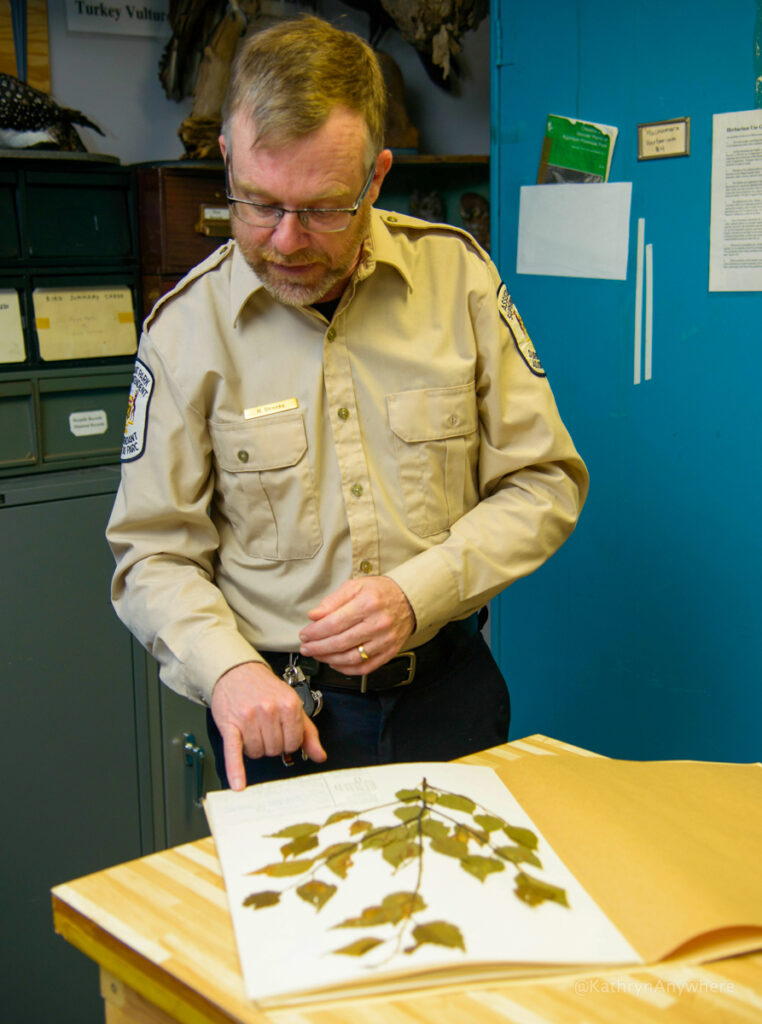 Algonquin PP visitors centre behind the scenes with Rick Stonks showing a collection of flora