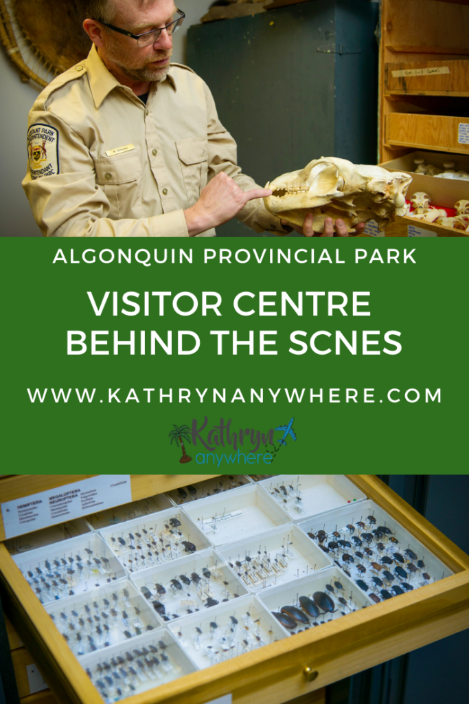 If you have been to Algonquin Park in Ontario, you may have been to the Algonquin Park Visitor Centre. It opened in 1993 to celebrate the 100th anniversary of Algonquin Provincial Park