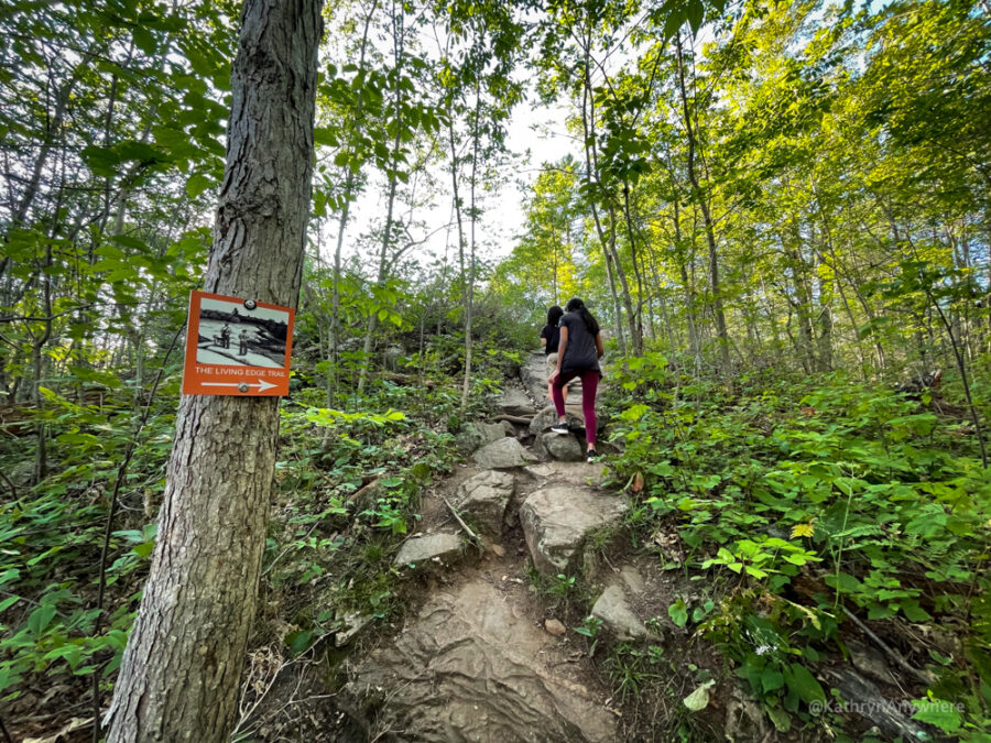 Six Mile Lake Living Edge Hiking Trail