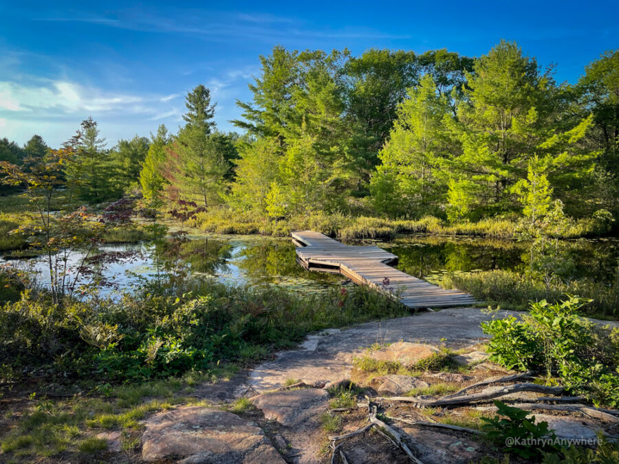 Six Mile Lake Provincial Park Living Edge Trail Boardwalk hiking etiquette