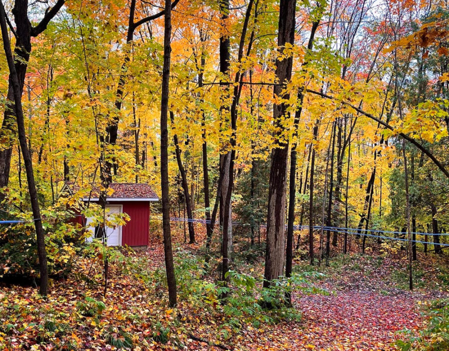 Sudbury Maple Hill Brewery Sugar Shack