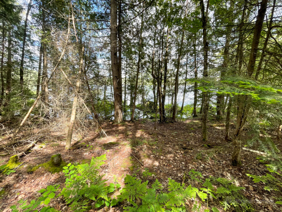 Backcountry campsite at landescapes