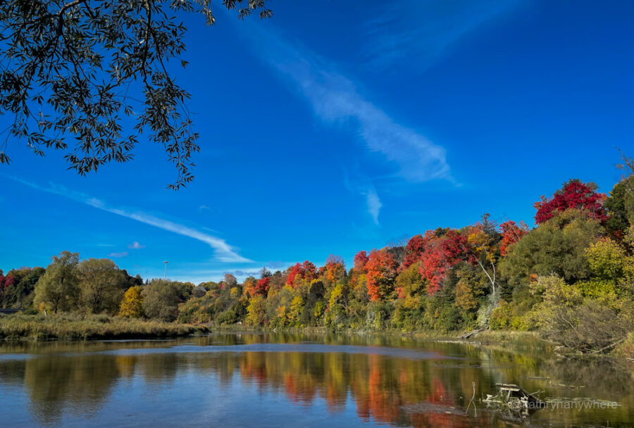 Walter Beale Trail in Kitchener Waterloo Region