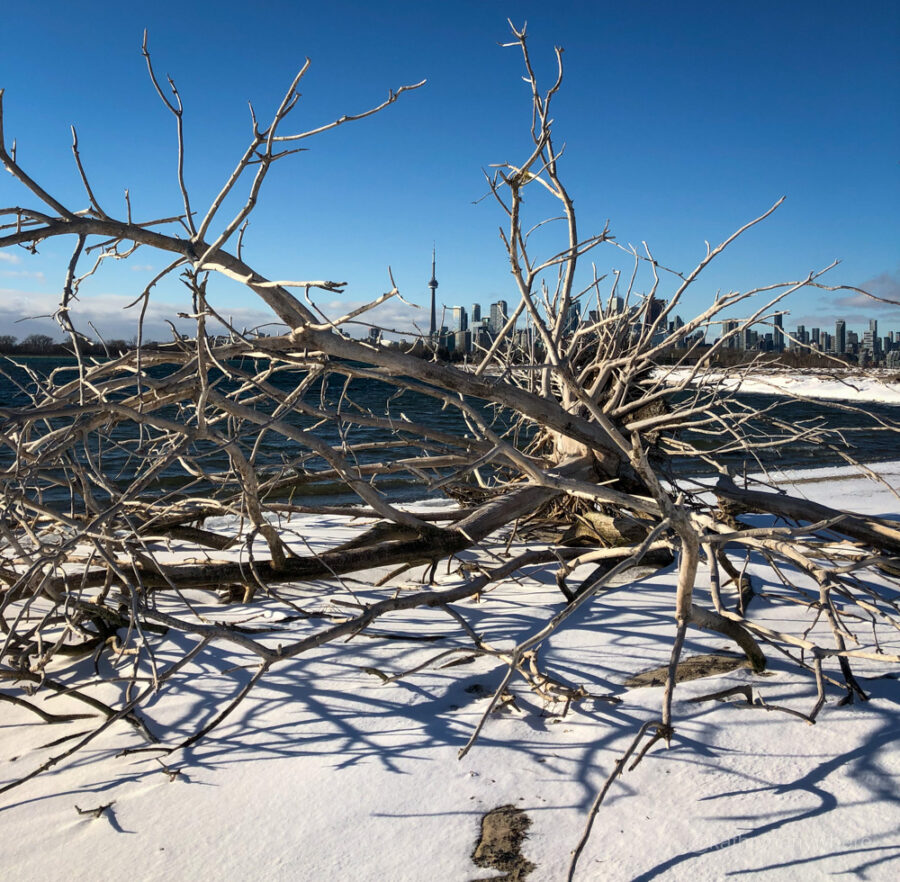 Leslie Spit view of CN Tower Toronto. Winter Hiking. Cold Weather activities. Toronto winter activities. Hiking Adventures.