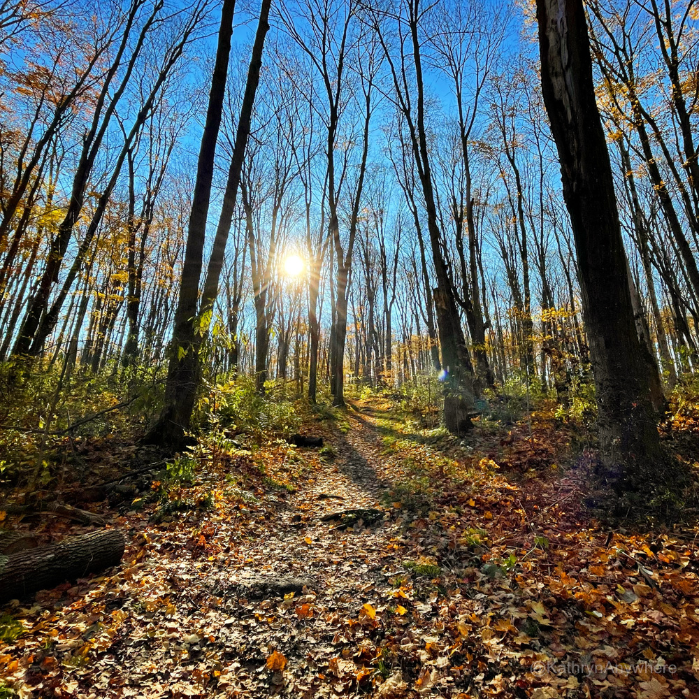 Hockley Valley Nature Preserve area in autumn