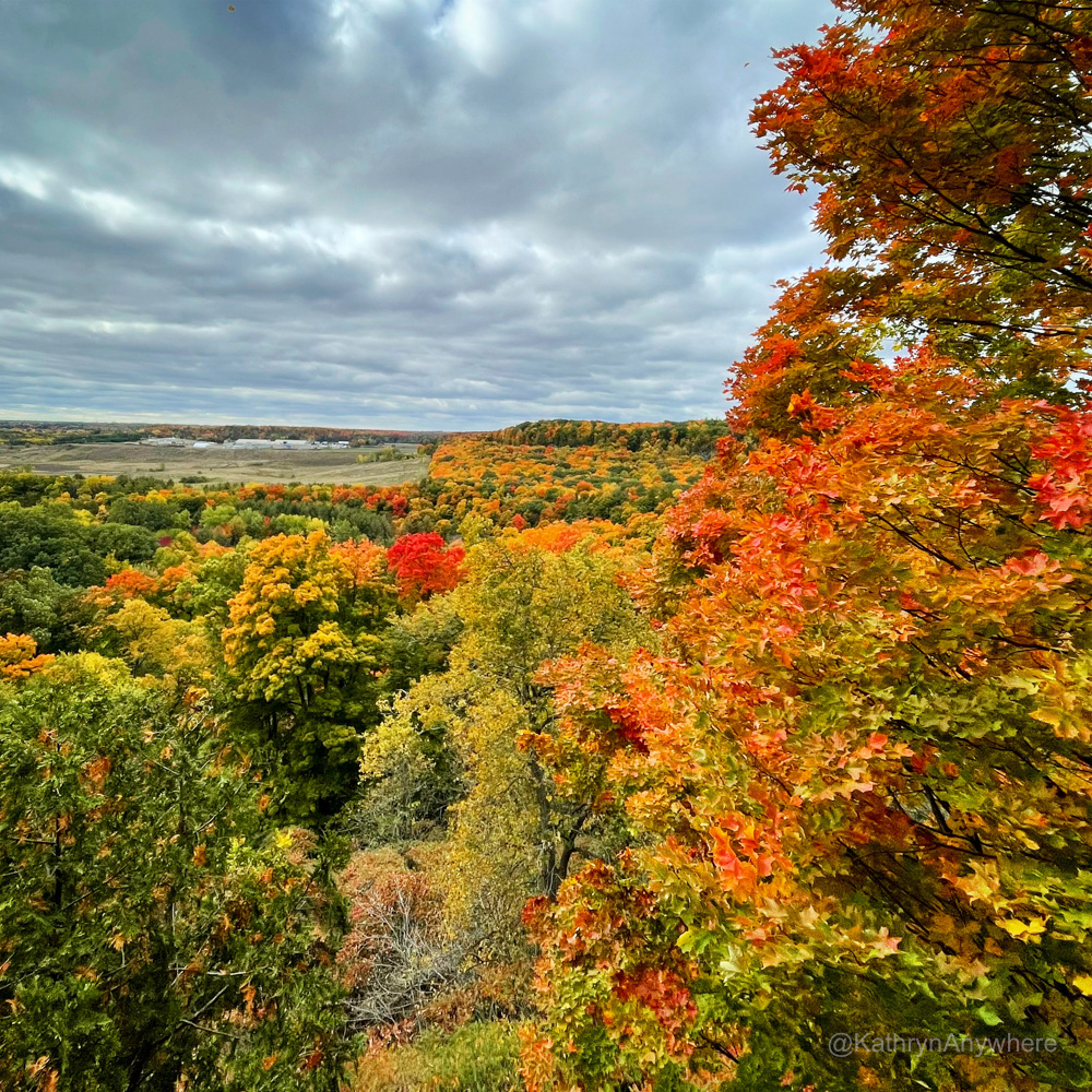 Rattlesnake Point Conservation area in autumn
