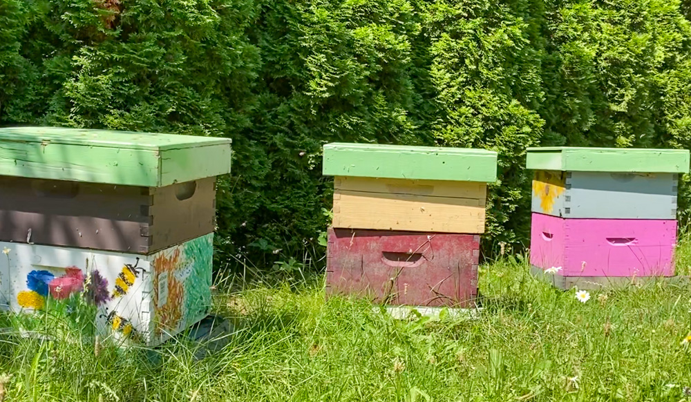 Ontario Honey Creations Bee Hives