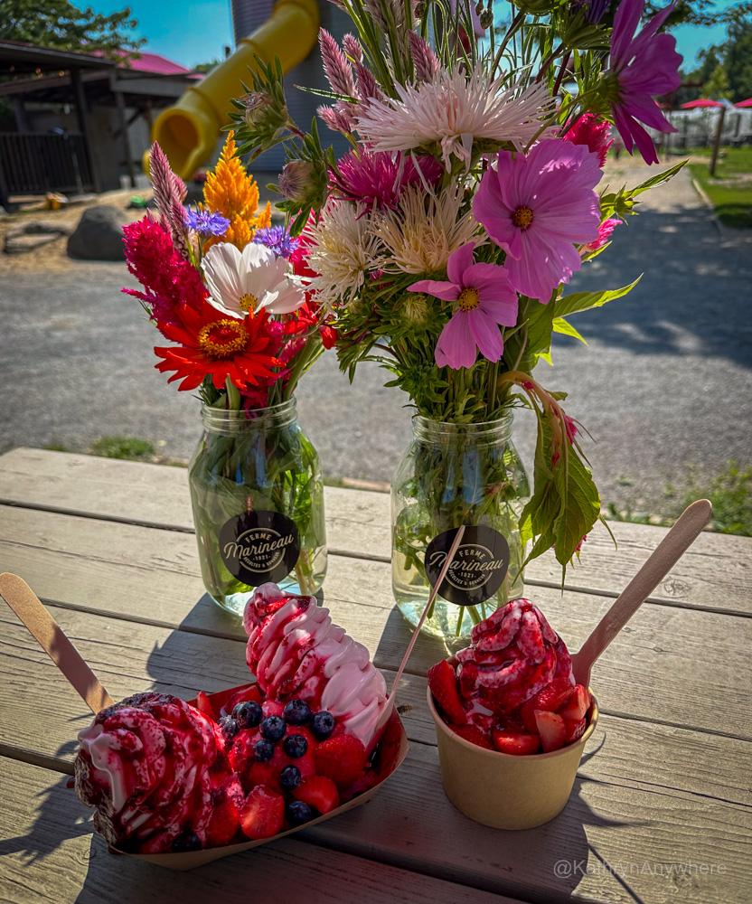 Laval Quebec Ferme Marineau bouquet and gelato