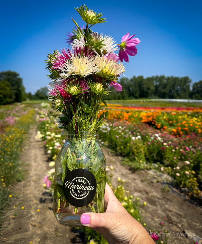 Laval Quebec Ferme Marineau bouquet