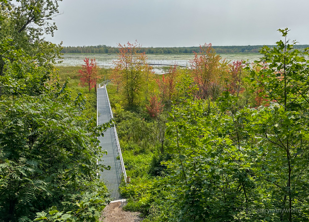 Oka National Park overhead boardwalk of Grande Baie trail from the look out tower