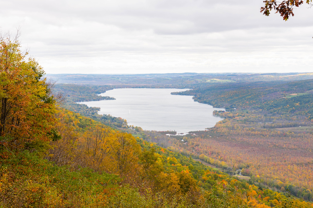 Harriet Hollister Park look out