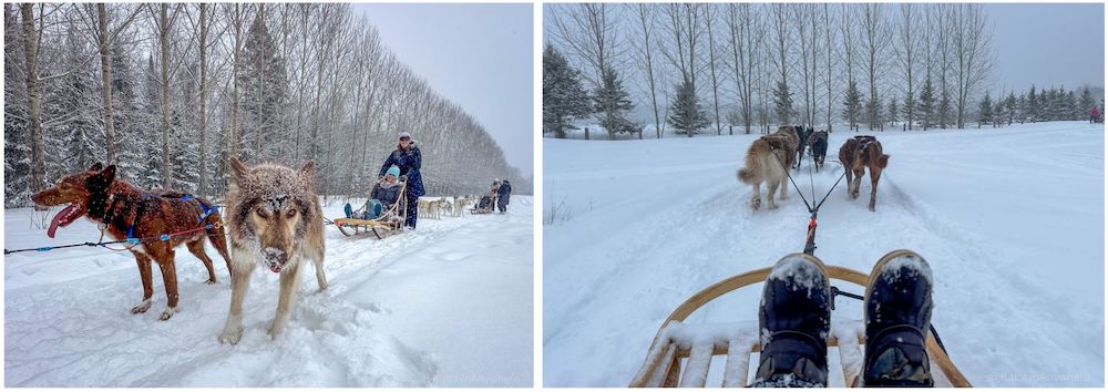 Girls getaway in Lanaudière-Mauricie, Authentic Quebec Trois-Rivières best girls getaway in Quebec, Kat and Lindsay dogsledding at Le baluchon eco resort