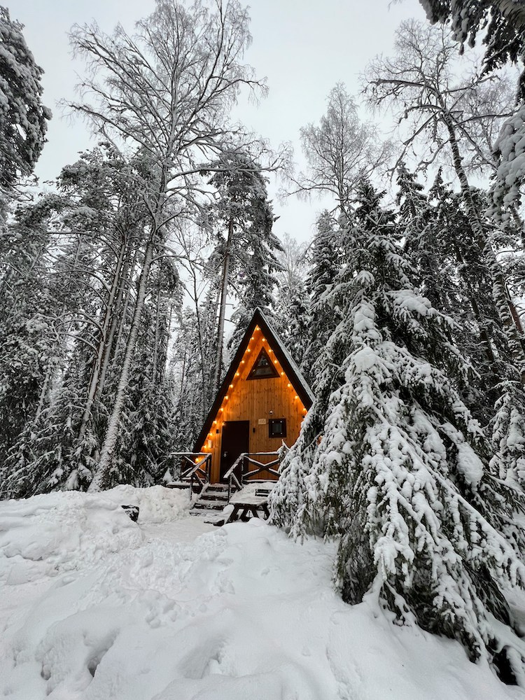 Photo by Alsu Vershinina on Unsplash
