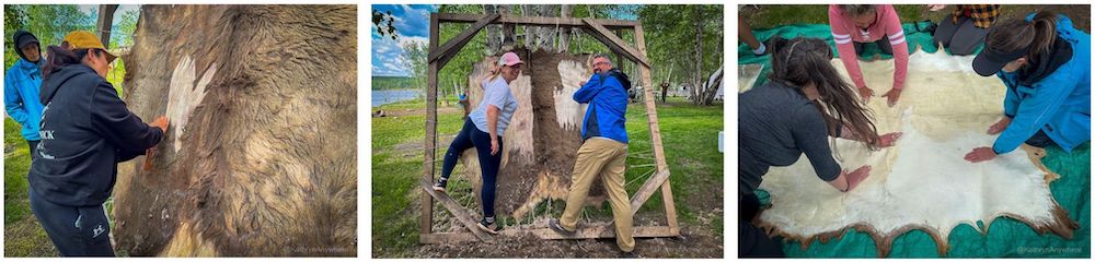 kâniyâsihk Culture Camps scraping and braining a hide