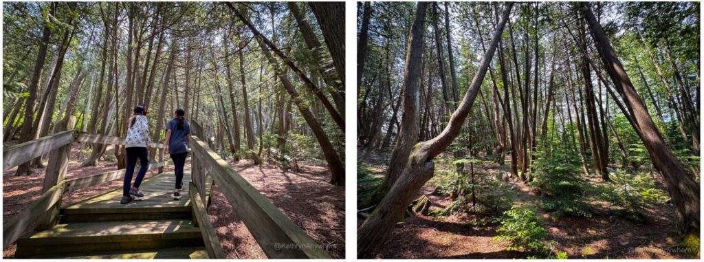 Obadjiwan–Fort-Témiscamingue National Historic Site enchanted forest