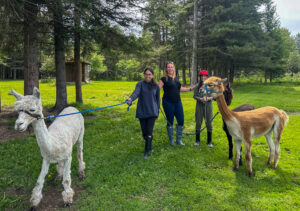 Dream Acres Alpacas family Northeastern Ontario Family Travel