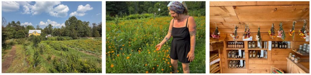 La Fée des Bois - owner, Marianne, locally made herbal products. From soothing teas to healing ointments, every item is lovingly crafted by the farm’s herbalist using plants harvested and prepared on-site. Shawville Quebec