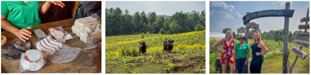 Pure Consciousness Yak Farm Clarendon Quebec
