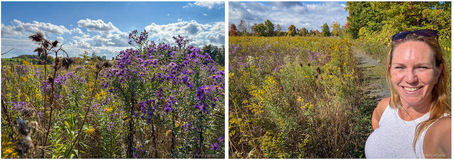 Hike at Mary West NAture Reserve in Campbellford as part of your things to do in Campbellford