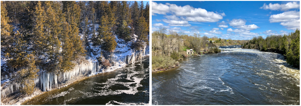 Exploring Trans Canada Trail in Campbellford Ranney Falls in winter rushing Trent River in Campbellford on Ranney Gorge Suspension Bridge to Ferris Provinical Park.