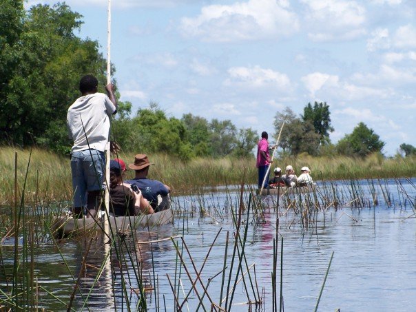 Travelling through the Okavango Delta in mokoros