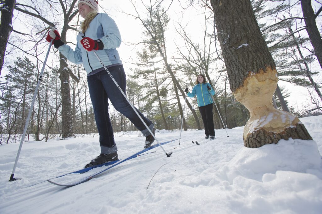 Cross Country Skiing XC skiing Pinery Provincial Park Best outdoor date ideas in Ontario