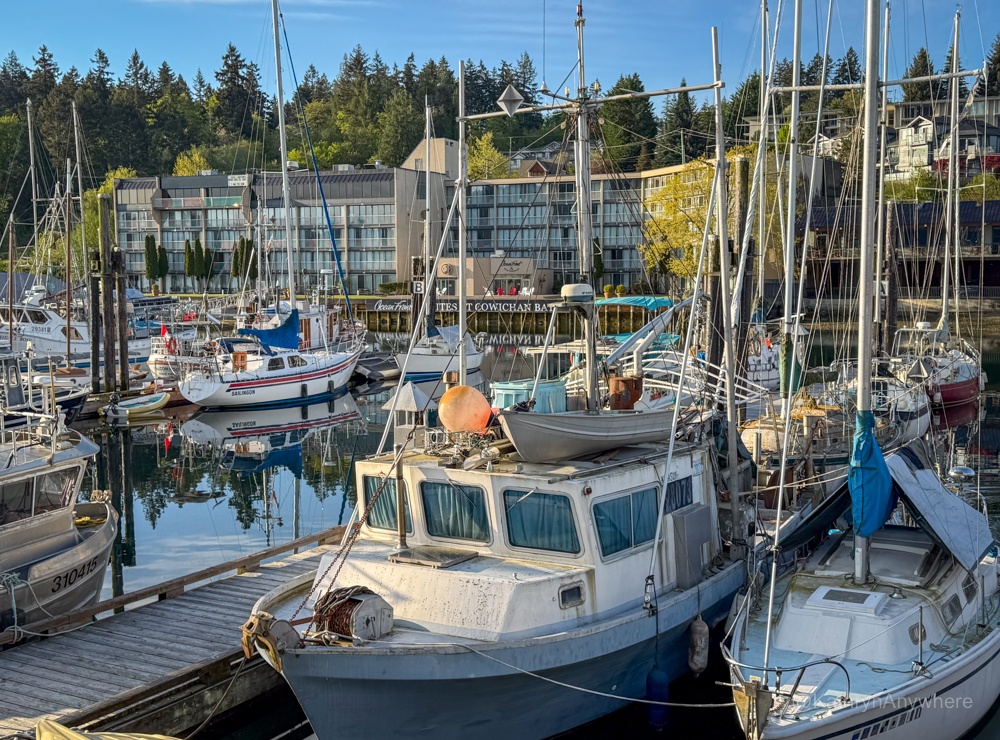 Cowichan Bay boats in the morning